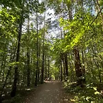 شقة Pod Sosnami - Basen, Sauna, Garaz, Obok Nadmorskiego Lasu - 4 Pory Roku *