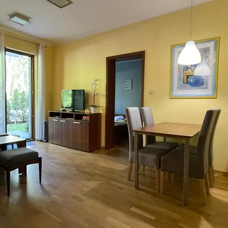 Z Ogrodkiem, Basen, Garaz, 4 Pory Roku * Jastrzębia Góra