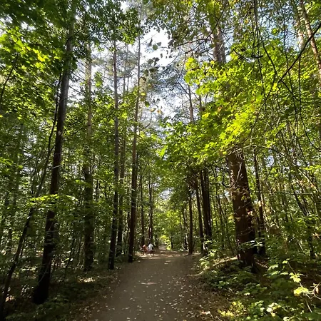 Apartmán Pod Sosnami - Basen, Sauna, Garaz, Obok Nadmorskiego Lasu - 4 Pory Roku *