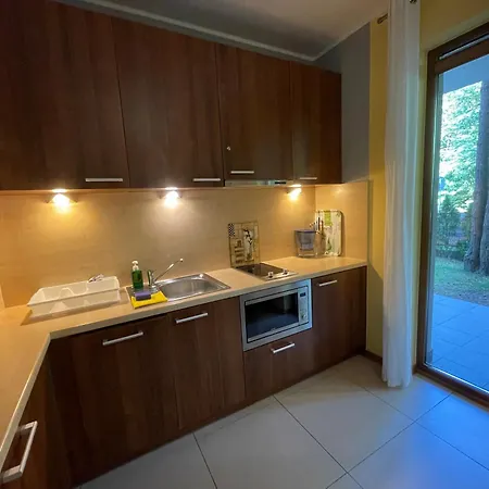 Pod Sosnami - Basen, Sauna, Garaz, Obok Nadmorskiego Lasu - 4 Pory Roku * Jastrzębia Góra
